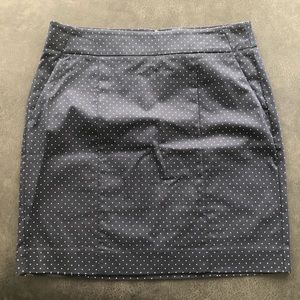 Ann Taylor Polka Dot Skirt